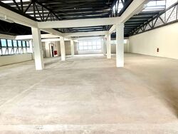 Loyang Industrial Estate (D17), Office #539398831